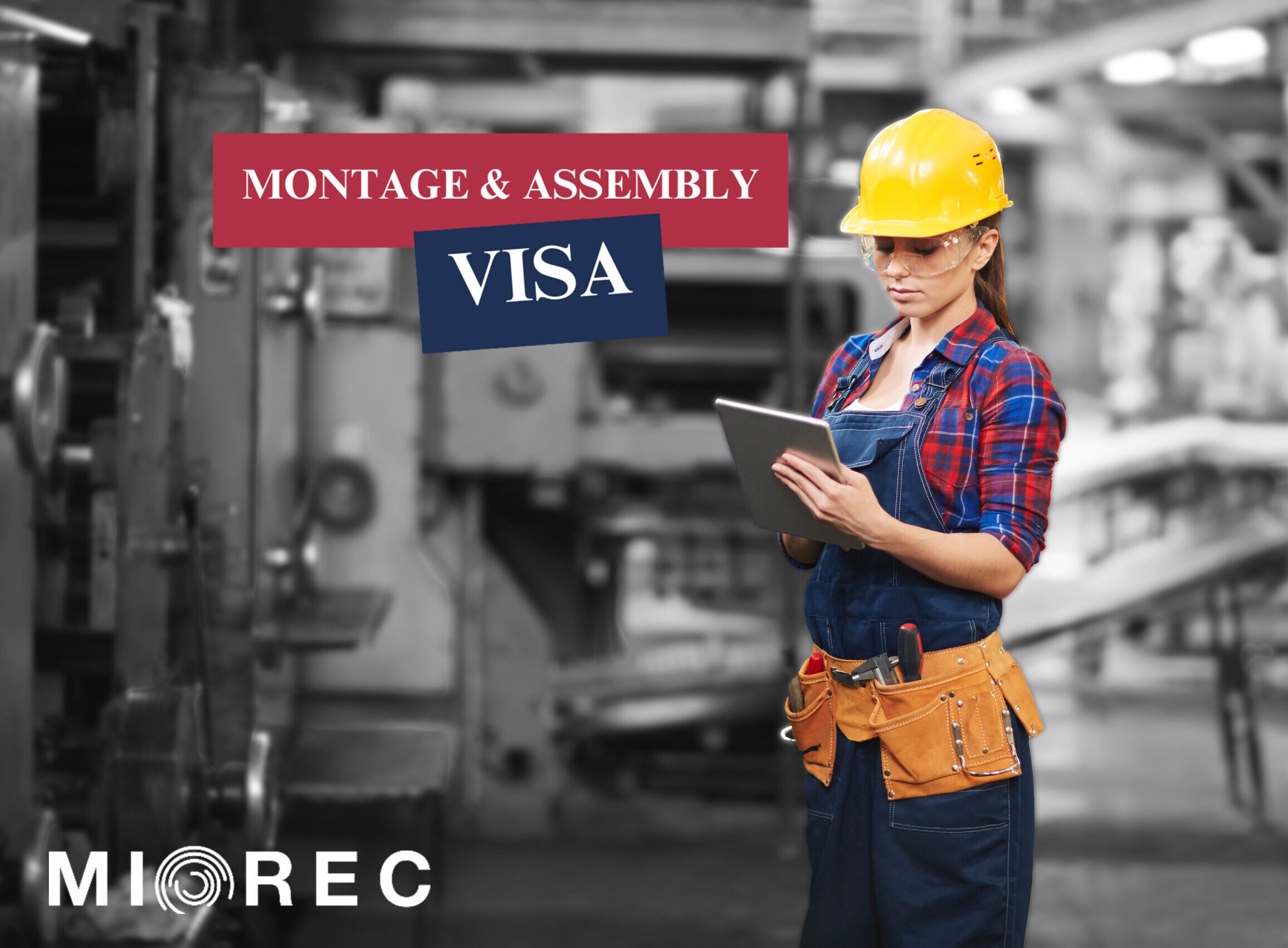 montage/assembly visa