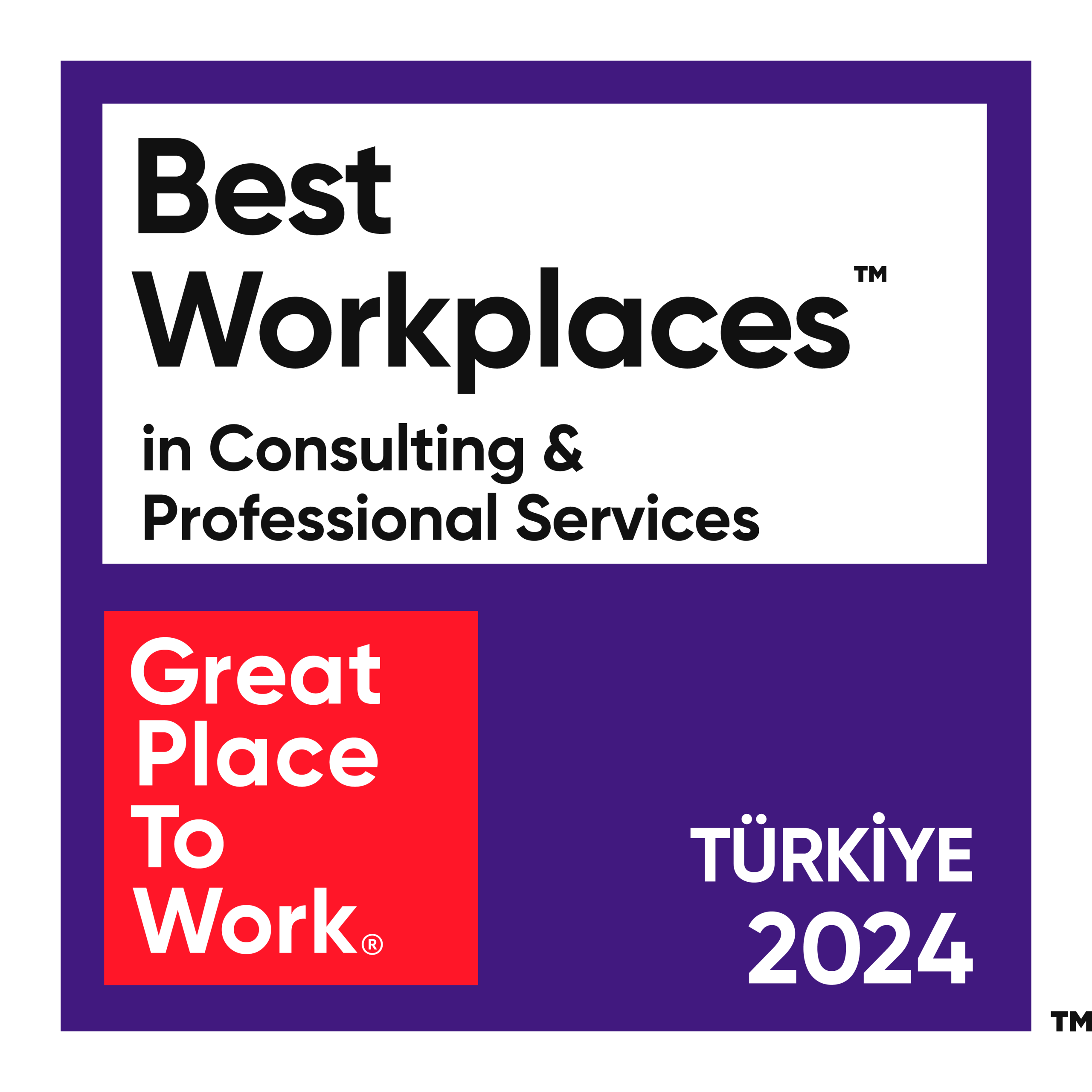 Great Place To Work Danışmanlık ve Profesyonel Hizmetler 2024 sertifikası